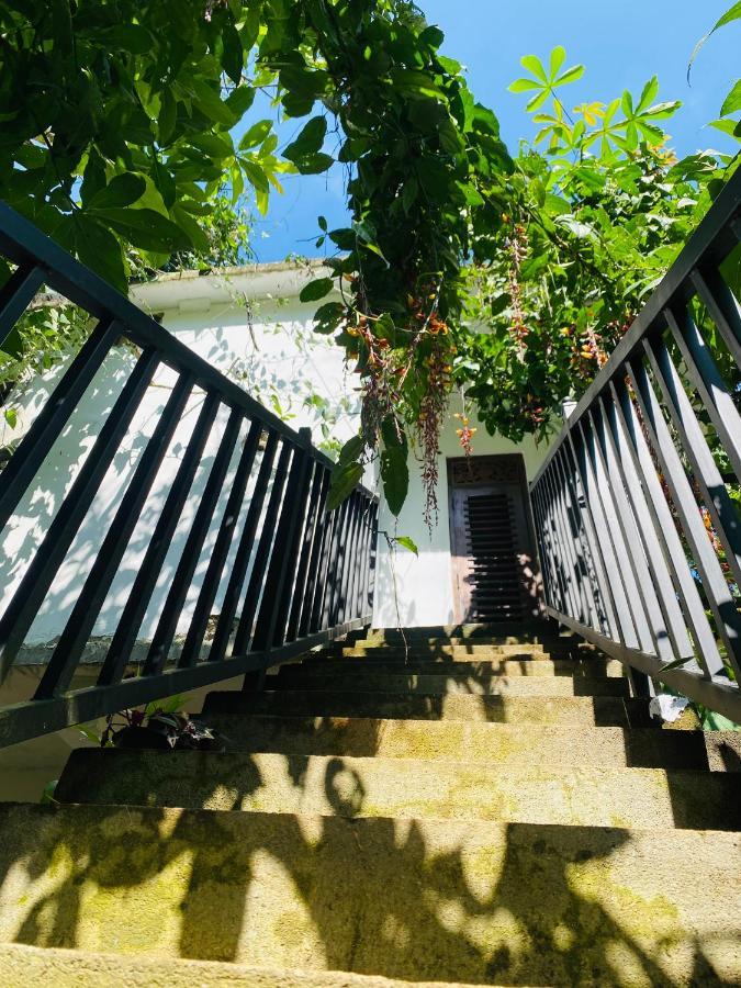 Homestay The Kingdom Of Ella