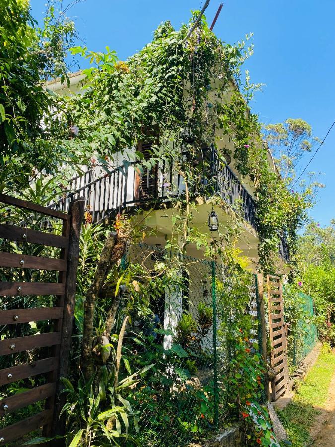 Homestay The Kingdom Of Ella