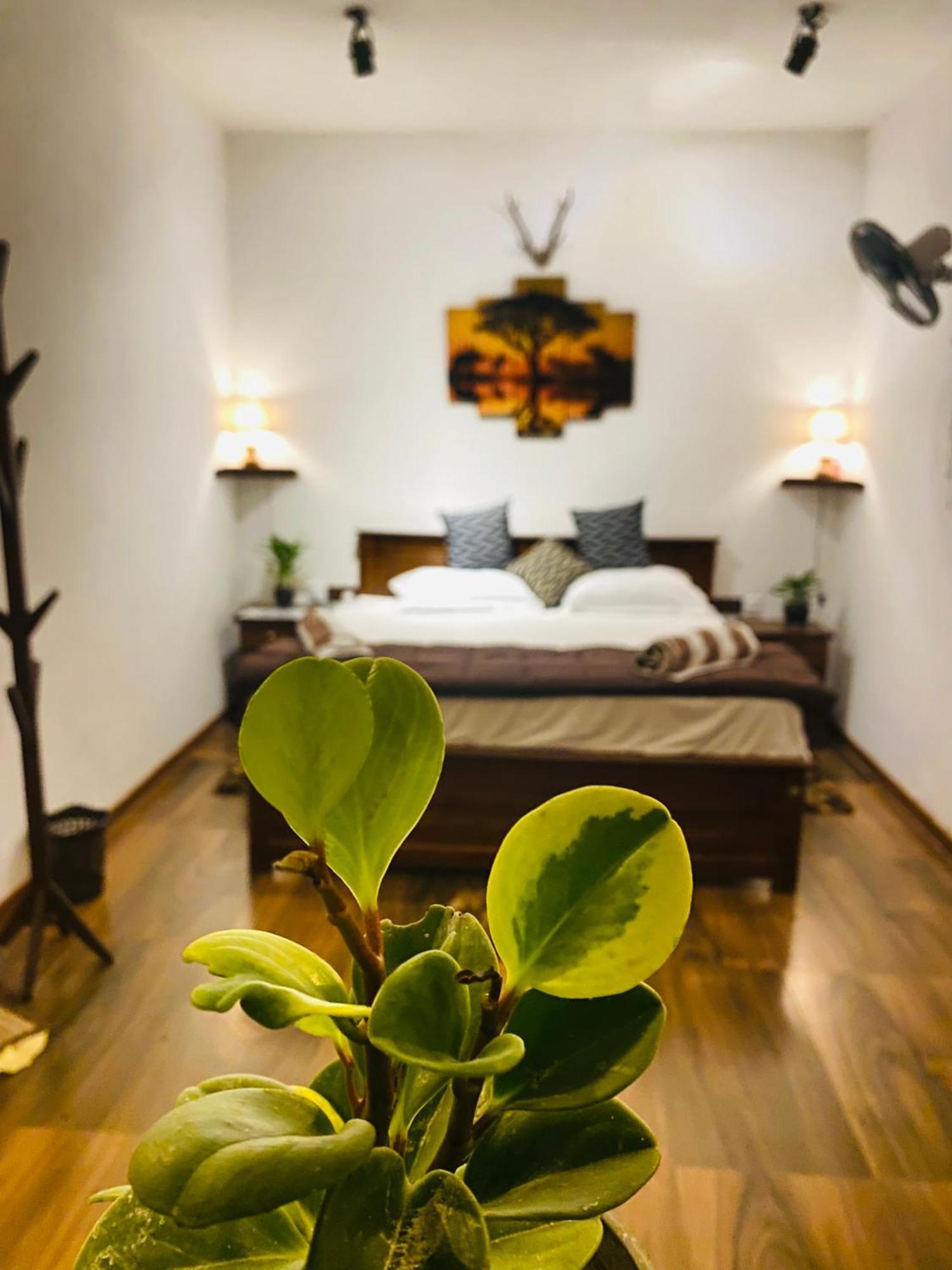 Homestay The Kingdom Of Ella
